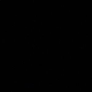 Meet your Posher, Allie